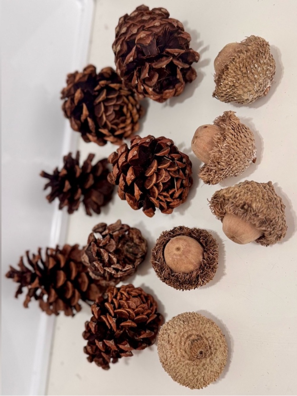 12 Pc. Natural Pinecone & Acorn Set Rustic Fall Floral Arrangement Wreath Crafts